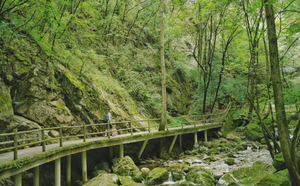 寧夏銀川出發(fā)4日自駕：牛背梁、柞水溶洞、陳爐古鎮(zhèn)、終南山寨、袁家村4日自駕游