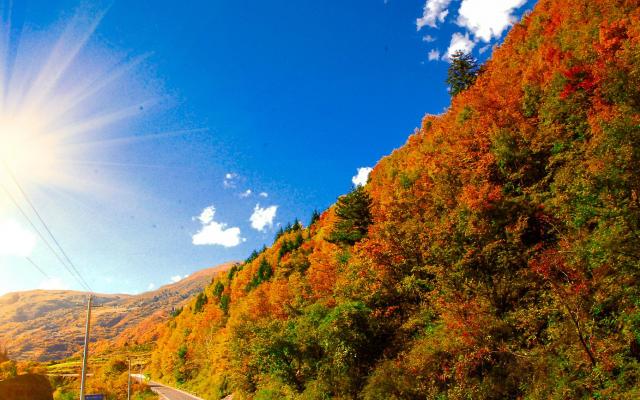成都周邊2日秋季賞紅葉自駕游：奶子溝-八十里彩林風情谷-卡龍溝2日自駕游