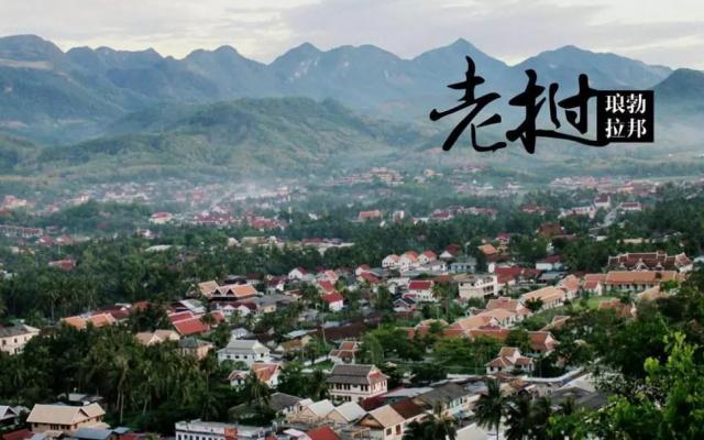 重慶出發(fā)老撾8日自駕游：瑯勃拉邦-王宮博物館-光西瀑布-萬榮8日自駕游